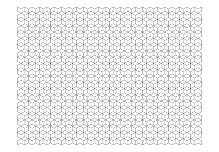 Fototapet Abstraktion - mönster av symmetriska geometriska figurer på vit bakgrund 61066 additionalImage 1