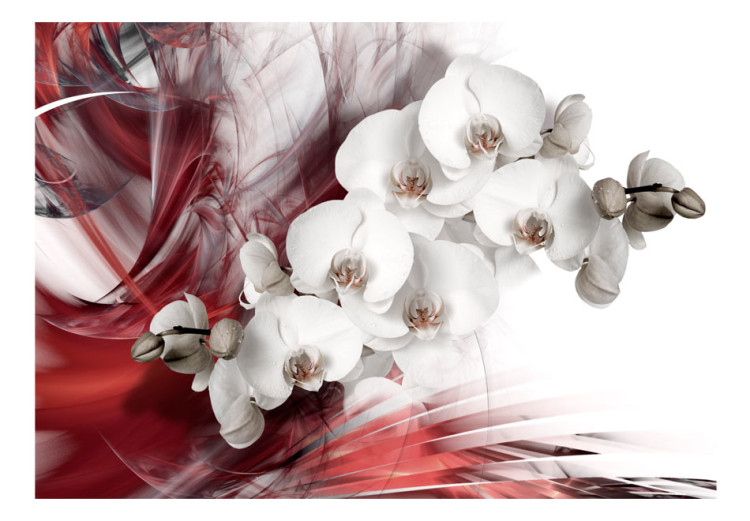 Fototapet Abstraktion med blommor - svartvit orkidé på ett vinrött mönster 61876 additionalImage 1