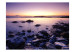 Fototapet Stilla hav - solnedgång och strand med stenar och lätt dimma 60486 additionalThumb 1