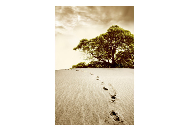 Fototapet Träd i öknen - landskap med träd vid sanden med spår i sepia 59907 additionalImage 1