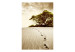 Fototapet Träd i öknen - landskap med träd vid sanden med spår i sepia 59907 additionalThumb 1