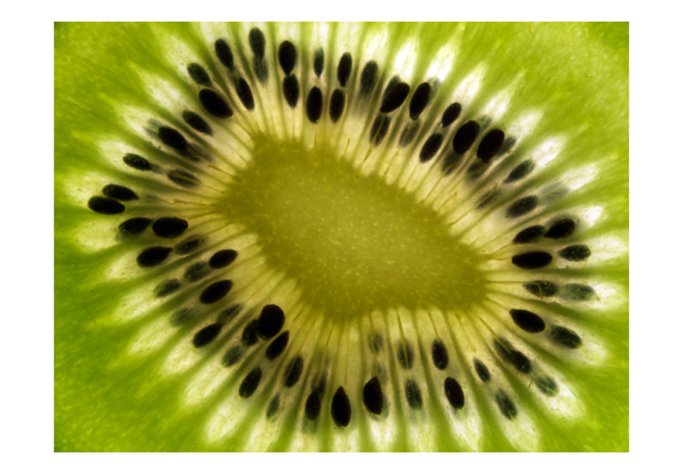 Fototapet Fruktiga smaker - halverad grön kiwi med frön 59817 additionalImage 1
