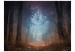 Fototapet Skogslandskap - mystisk skog med träd och löv på stigen 59927 additionalThumb 1