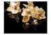 Fototapet Orchidee i ecru nyanser - dämpat blommigt motiv på svart bakgrund 60227 additionalThumb 1