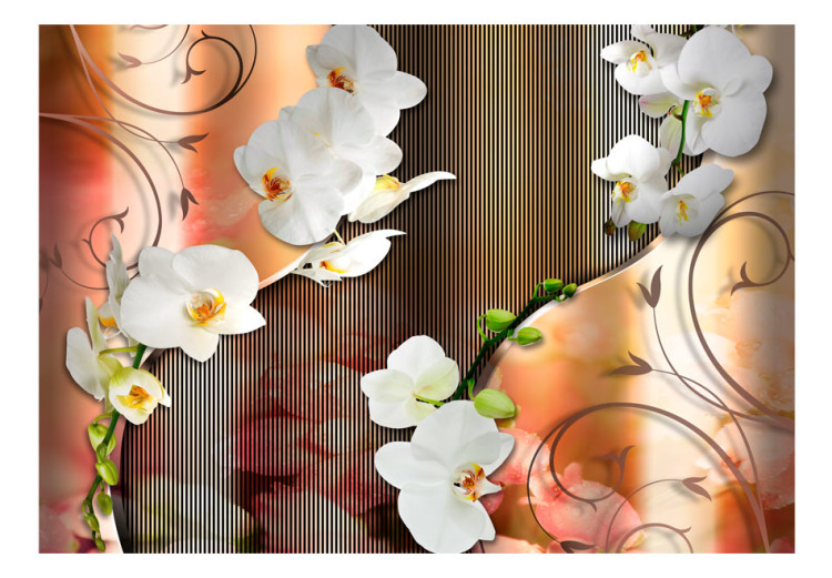 Fototapet Uppblomstrade blommor - vita orkidéer med mönster och randigt 61827 additionalImage 1
