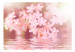 Fototapet Delicate Touch Of Pink 61937 additionalThumb 1