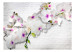 Fototapet Mur och natur - blommande orkidé med knoppar mot en tegelvit mur 61847 additionalThumb 1