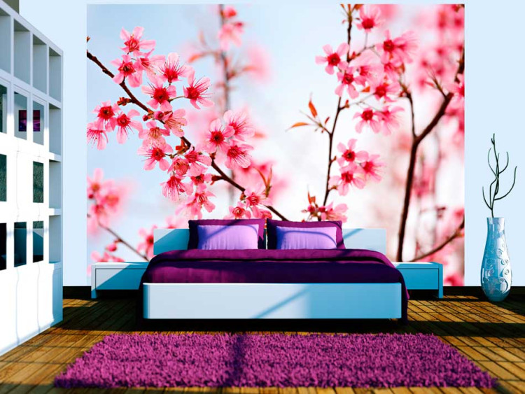 Fototapet Symbol för Japan - körsbärsblommor sakura - ljust växtmotiv med japansk inspiration 60657