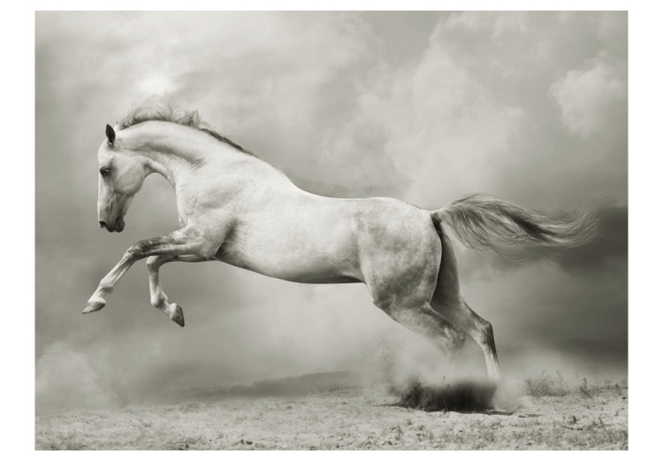 Fototapet Stark hingst - vit hoppande häst på sanden i en grå dimma 61267 additionalImage 1