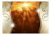 Fototapet Bärnsten sol - abstraktion med glans på brun bakgrund med mönster 61367 additionalThumb 1