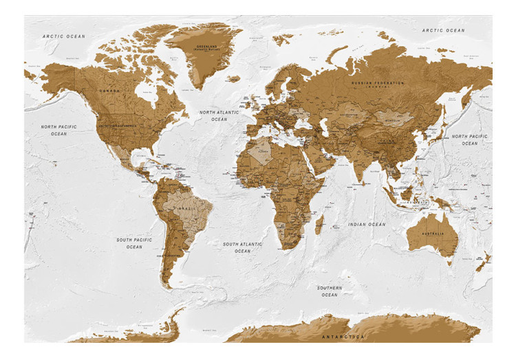 Fototapet World Map: White Oceans 94377 additionalImage 1