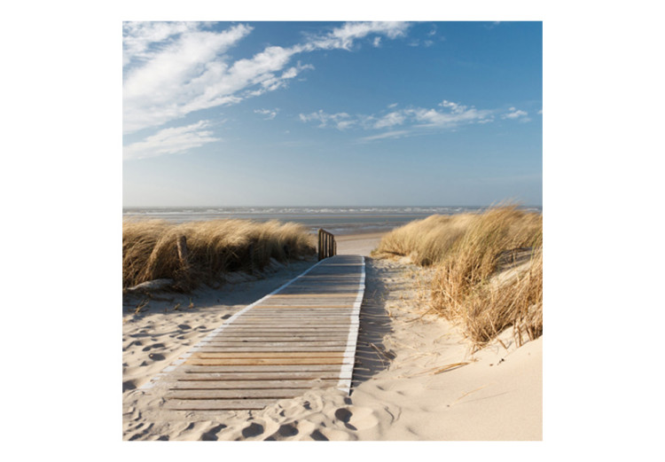 Fototapet Langeoog - sandstrand vid Nordsjön under en blå himmel 61587 additionalImage 1