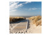 Fototapet Langeoog - sandstrand vid Nordsjön under en blå himmel 61587 additionalThumb 1