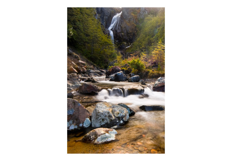 Fototapet Bergsbäck - flodlandskap med ett vattenfall mitt i grönskande skog 60008 additionalImage 1