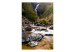 Fototapet Bergsbäck - flodlandskap med ett vattenfall mitt i grönskande skog 60008 additionalThumb 1