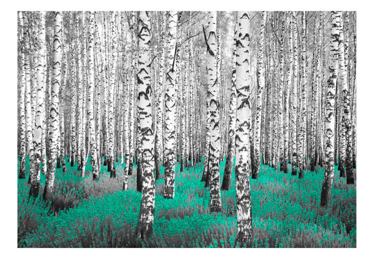Fototapet Smaragdoasyl - abstrakt skogsmotiv med björkträd och en accent 60518 additionalImage 1