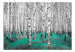 Fototapet Smaragdoasyl - abstrakt skogsmotiv med björkträd och en accent 60518 additionalThumb 1