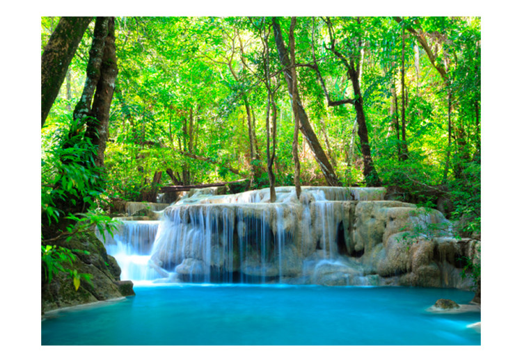 Fototapet I naturlig miljö - landskap med vattenfall mitt i skogen 60028 additionalImage 1