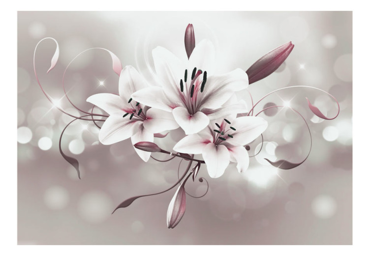 Fototapet Vita blommor på grå bakgrund - blomstermotiv av liljor med ljusglans 64638 additionalImage 1