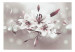Fototapet Vita blommor på grå bakgrund - blomstermotiv av liljor med ljusglans 64638 additionalThumb 1