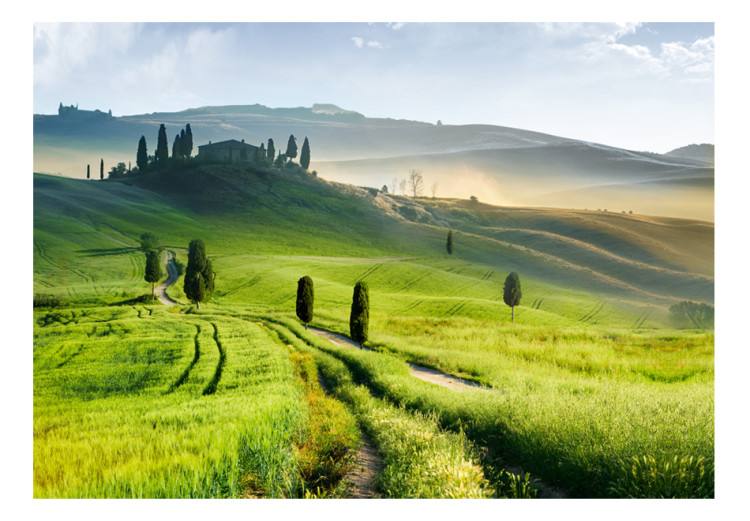 Fototapet Italienska Toscana - landskap i en by med träd på gröna ängar 59848 additionalImage 1