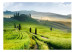 Fototapet Italienska Toscana - landskap i en by med träd på gröna ängar 59848 additionalThumb 1