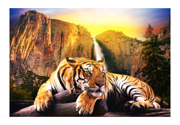 Fototapet Naturfrid - vacker tiger som ligger på stenar vid en vattenfall 61348 additionalImage 1