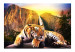 Fototapet Naturfrid - vacker tiger som ligger på stenar vid en vattenfall 61348 additionalThumb 1