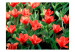 Fototapet Painted flowers 60468 additionalThumb 1