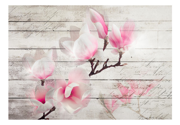 Fototapet Magnoliens subtilitet - rosa-vita blomma på en bakgrund av vita träplankor 62468 additionalImage 1