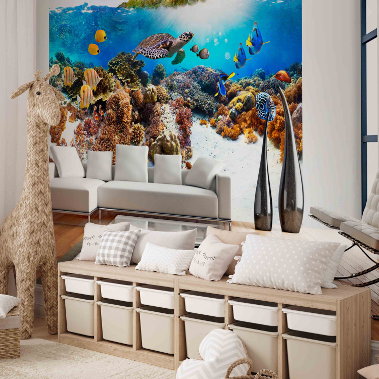 Fototapet Korallrev - en värld av färgglada fiskar och sköldpaddor under vattnet 59998 additionalImage 5