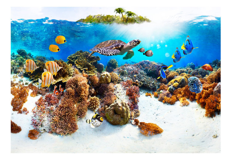 Fototapet Korallrev - en värld av färgglada fiskar och sköldpaddor under vattnet 59998 additionalImage 1