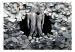 Fototapet Nära människor - glänsande silhuetter bland silverfärgade stenar 62298 additionalThumb 1