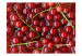 Fototapet Fruktiga smaker - röda vinbär med grenar nedsänkta i vatten 59809 additionalThumb 1