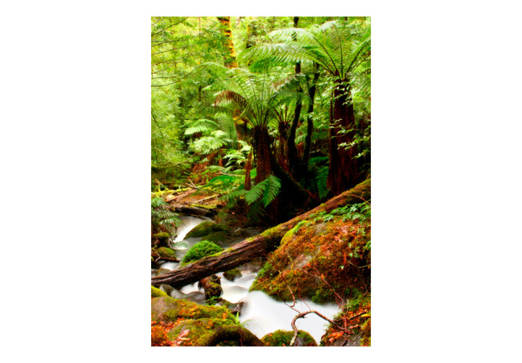 Fototapet Ekvatoriell skog - landskapsvy med djungel med olika växtarter och en flod 60509 additionalImage 1