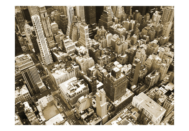Fototapet Fågelperspektiv av Manhattan - New Yorks arkitektur i mildt solljus 61509 additionalImage 1