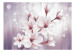 Fototapet Rosa magnolior - blommor på lila bakgrund med ränder och ljus 66209 additionalThumb 1