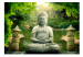 Fototapet Buddha's garden 61429 additionalThumb 1
