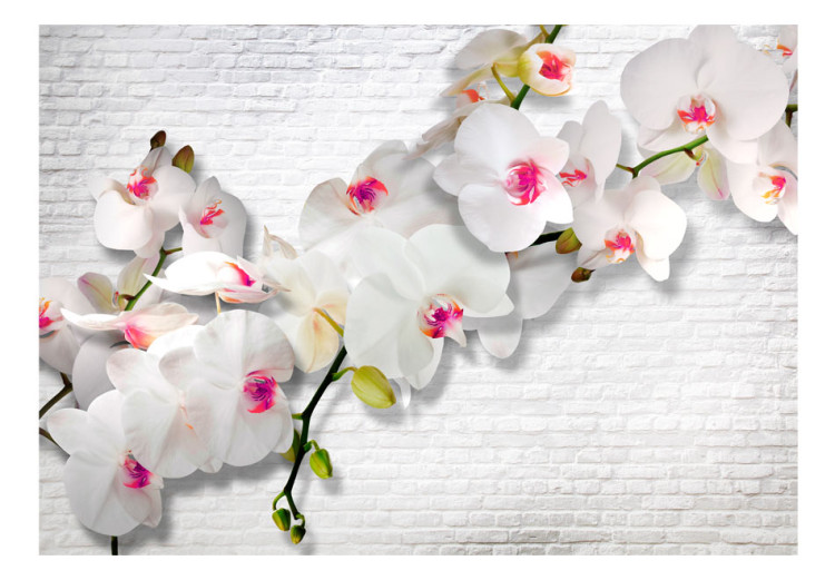 Fototapet Wall full of orchids 61839 additionalImage 1
