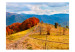 Fototapet Karpatisk landskap - höstig bergsnatur med träd och väg 59969 additionalThumb 1