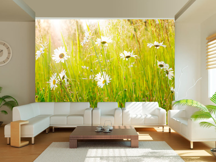 Fototapet Kornfält - soligt landskapsvy med blommor och gräs i solen 60469