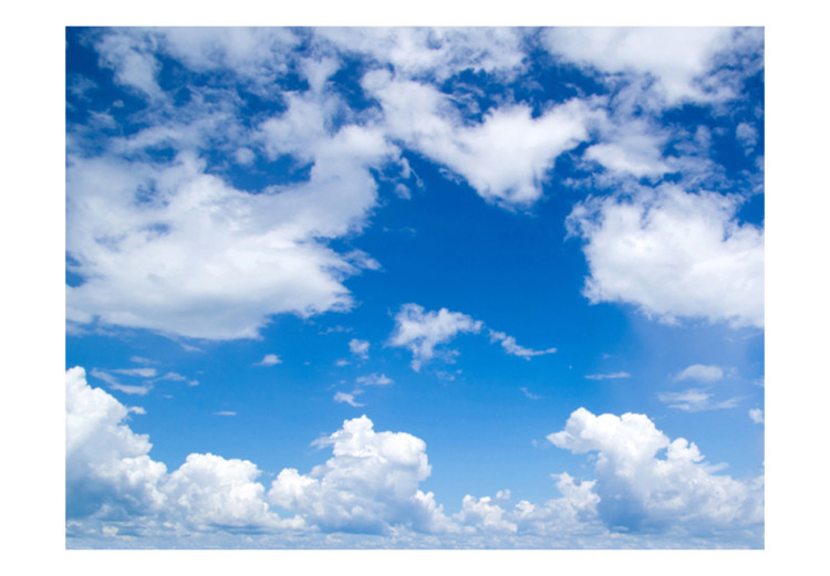 Fototapet Under bar himmel - landskap med blå himmel och moln 60279 additionalImage 1