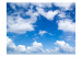 Fototapet Under bar himmel - landskap med blå himmel och moln 60279 additionalThumb 1