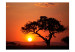 Fototapet Afrika: solnedgång 60489 additionalThumb 1