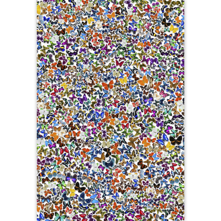 Fototapet Mångfärgad natur - färgrik bakgrund med olika fjärilar för barn 61289 additionalImage 3